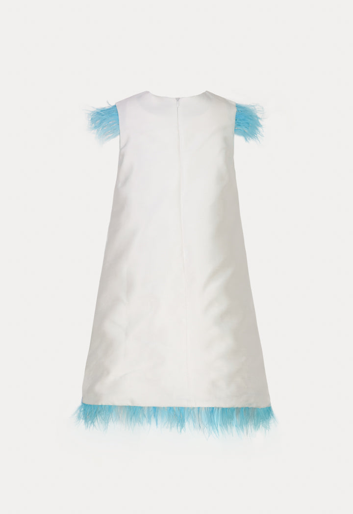 Fringed A-Line Dress